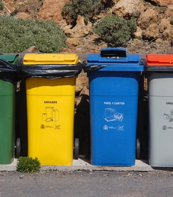 3 ações para deixar sua empresa mais sustentável